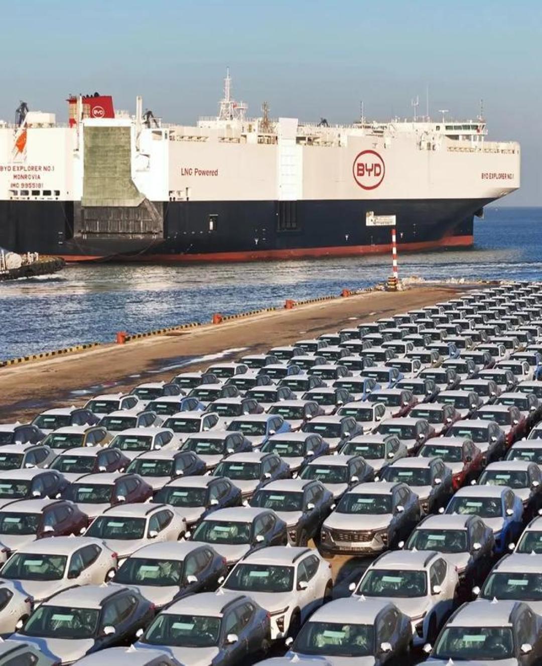 比亚迪5月销量现分化：国内承压海外翻倍，高端车型逆势突围