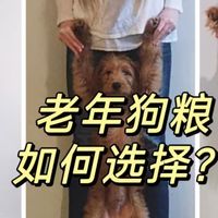 老年犬粮选择底层逻辑：分体型、分阶段