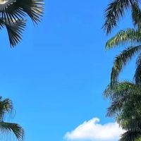 英菲克IN9，颜值与手感兼备？