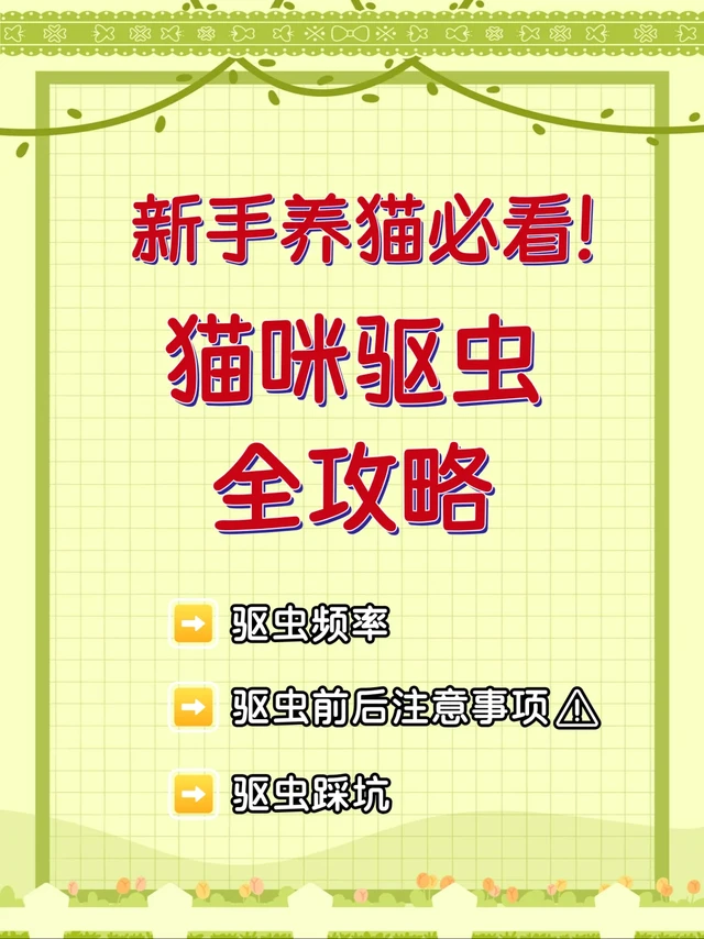 猫咪驱虫怎么挑？科学护猫从这篇开始📝