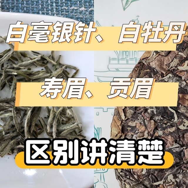 买白茶喝，要分清白毫银针、白牡丹、贡眉、寿眉，搞懂一挑一个准