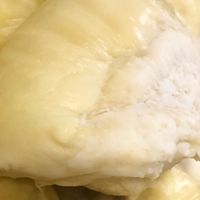 今儿个开了个榴莲，太上头了！