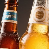 啤酒爱好者必看，购物节怎么买？