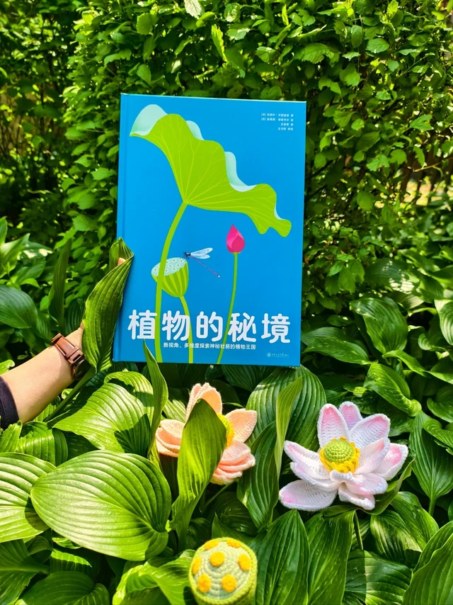 纸雕镂叶见深情：邂逅植物的秘境！