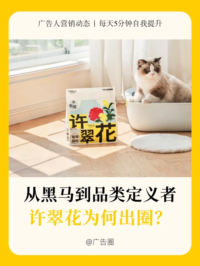 从黑马到品类定义者，许翠花为何出圈？
