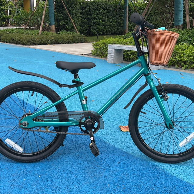 途锐达儿童自行车，轻便安全，六一送给孩子的最佳礼物！