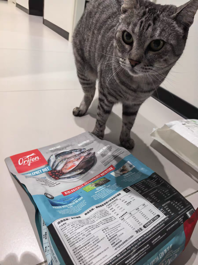渴望猫咪干粮