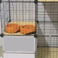 蔻丝猫笼子带厕所一体适合大猫家用室内三层猫别墅