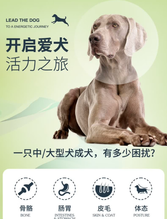 伯纳天纯狗狗干粮