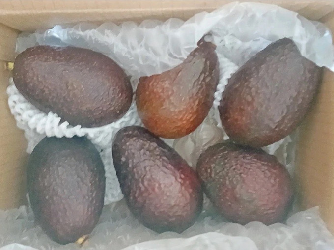刘家小二哥面包