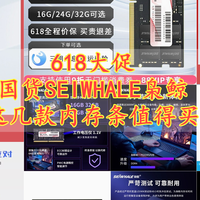 国货SEIWHALE枭鲸618这几款内存条值得买