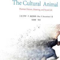 文化塑造人类行为与思维