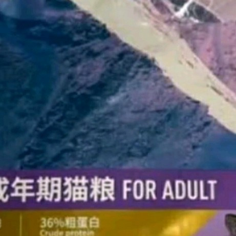 伯纳天纯经典猫粮：成猫毛球管理的“智慧之选”✨


