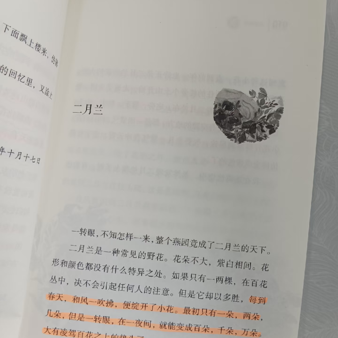 长江文艺儿童文学