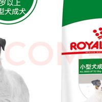 618必买！皇家老年犬粮，给毛孩子的贴心守护