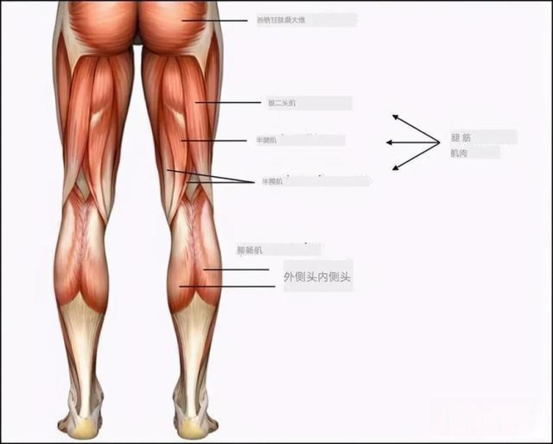 久坐族必看!10分钟科学拉伸告别腿部僵硬,轻松提升柔韧性