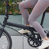 DAHON P8铬钼钢车架与马甲线技术
