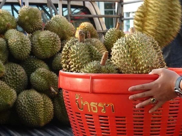 让中产“打起来”的榴莲，已经成为水果界的泡泡玛特