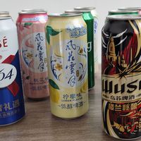 夏天出去野炊，如果买啤酒，不妨试试这款混合装！