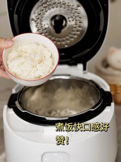 自用实测，0涂层千元电饭煲值得买吗？