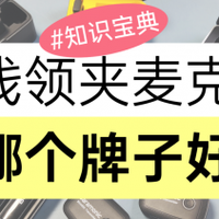 无线麦克风十大品牌排名2025，一文读懂无线麦克风哪个牌子的好！