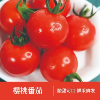 舌尖上的清甜邂逅：京鲜生&知翠串收樱桃番茄
