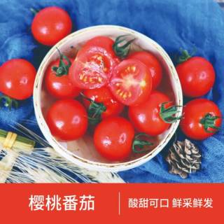 舌尖上的清甜邂逅：京鲜生&知翠串收樱桃番茄