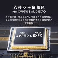 十铨 XTREEM ARGB 幻镜DDR5 台式机内存——性能与美学的极致融合