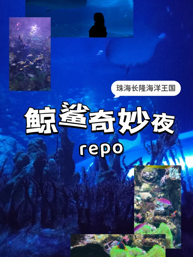 🐋 鲸鲨奇妙夜｜深海区入住＆游玩体验