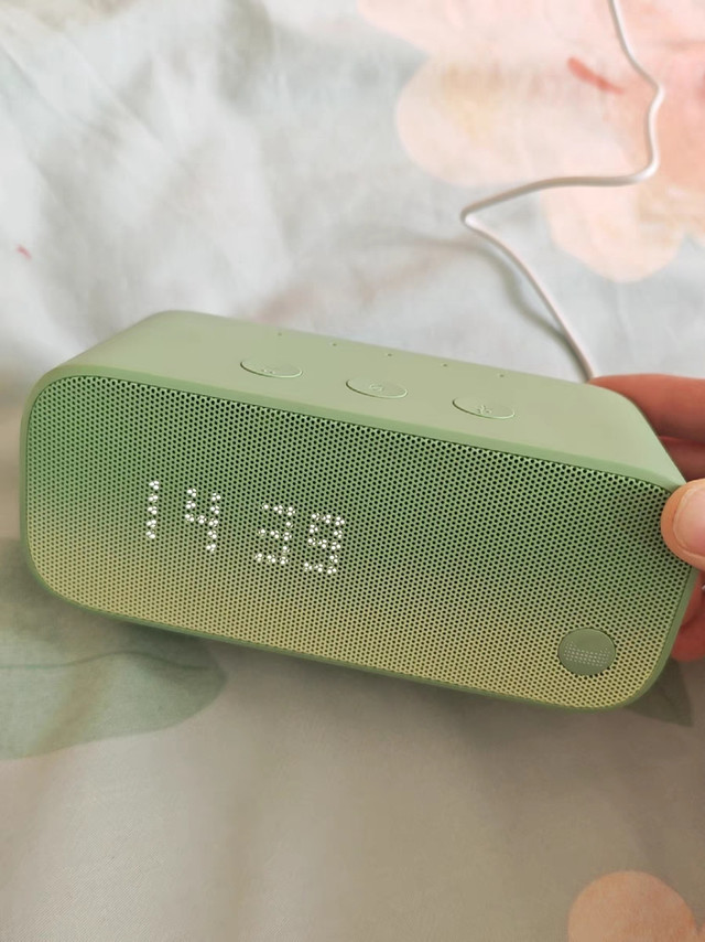 被问爆的智能音箱，好用到离谱！