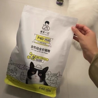诚实一口P40，猫咪的新宠