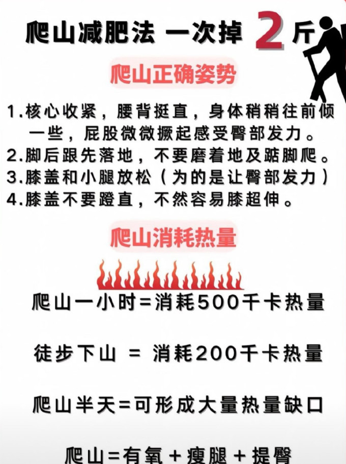 画中仙手杖