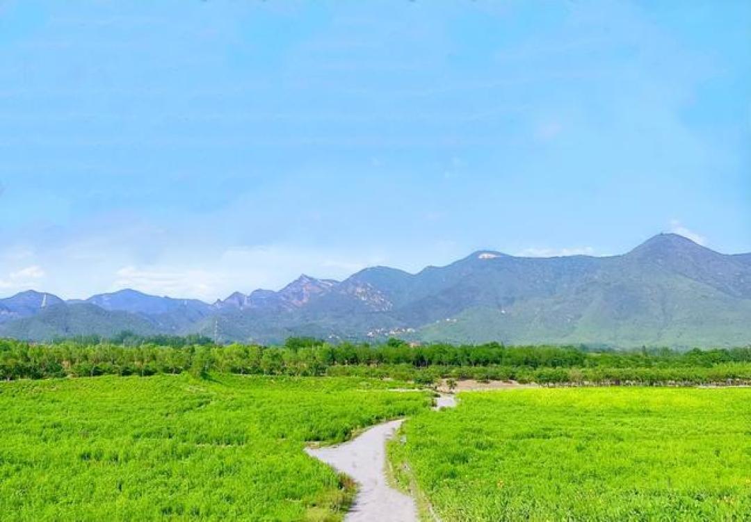 昌平七孔桥千亩花海免费迎客：四季花田+艺术打卡，生态修复区变身京城治愈系地标