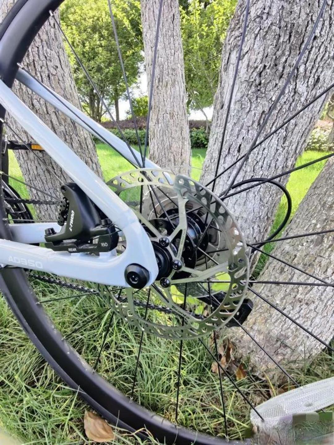 千元与万元公路车骑行对比:性能跃迁如何影响骑行乐趣?