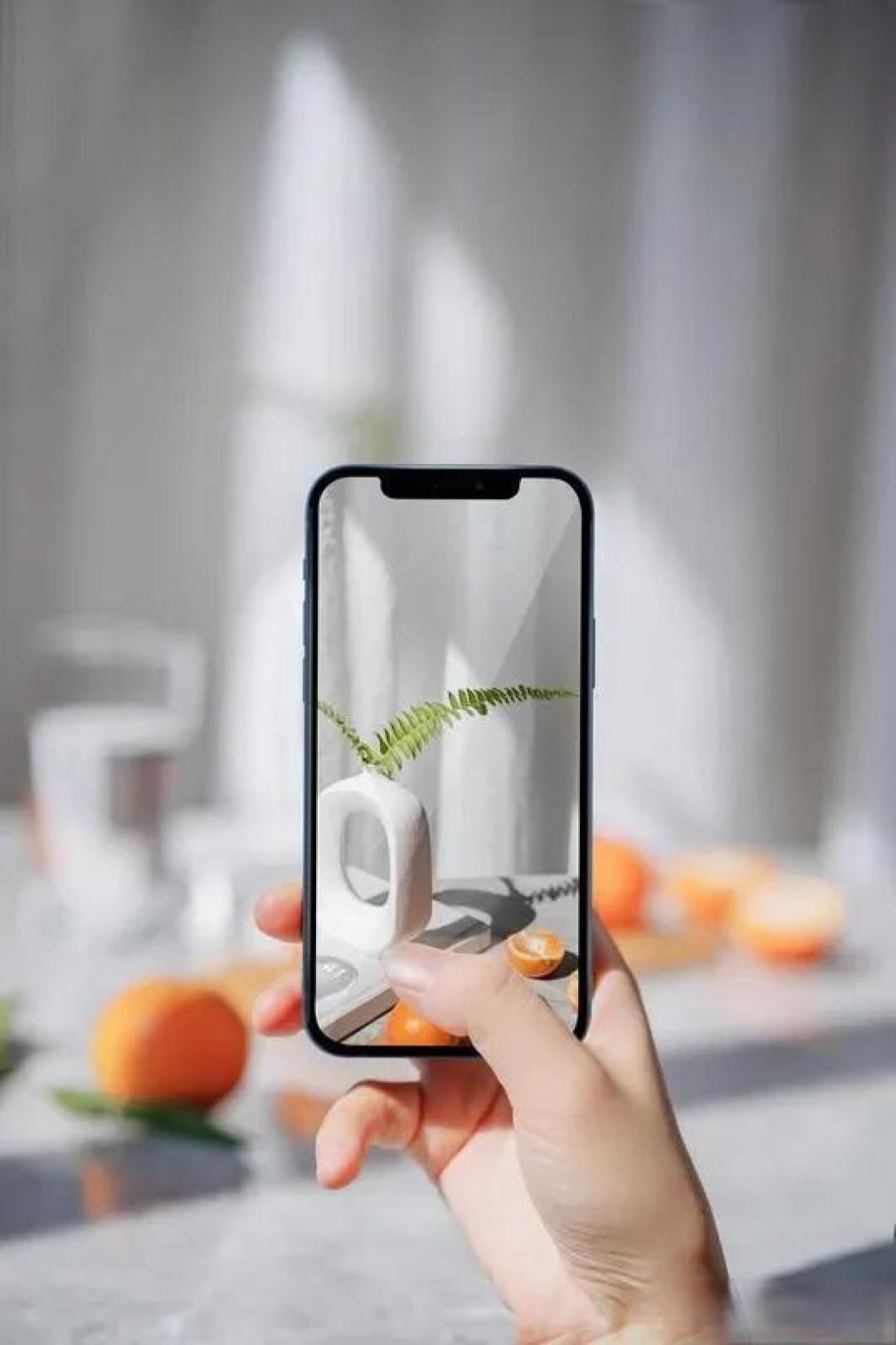 iPhone与安卓拍照对决:真实感与算法博弈背后的摄影体验差异