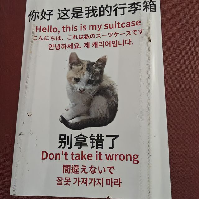 轻便好用的拉杆箱