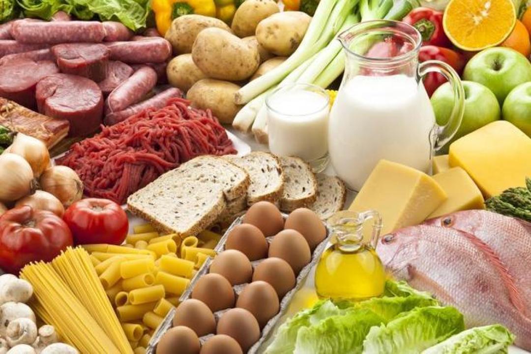 科学减脂双引擎：解锁饮食运动黄金配比激活代谢潜能