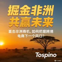 掘金非洲，共赢未来，直击非洲商机，如何把握跨境电商下一个风口