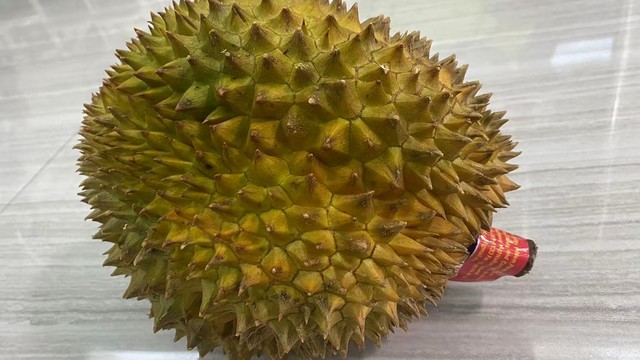 开榴莲盲盒不翻车！5招教你秒选“报恩榴莲”‌。