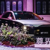 尊界S800：豪华与科技的完美结合，值吗？