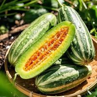 云南羊角蜜和山东羊角蜜有什么区别？哪个更好吃？