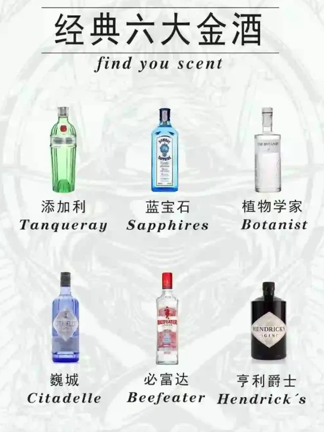 调酒师入门小白必看｜金酒篇