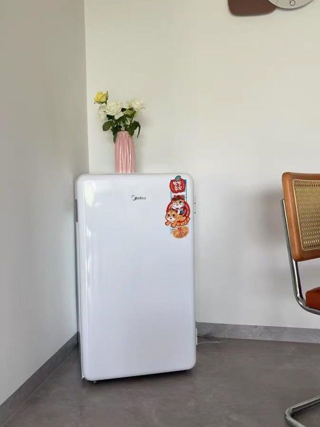租房党必备：高颜值小冰箱……