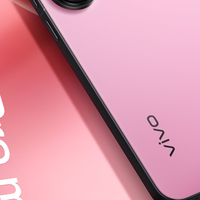 vivo S30 Pro mini图赏，巴掌大小的直屏尤物，细节满分