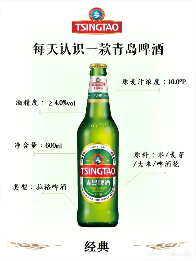 每天认识一款青岛啤酒｜经典