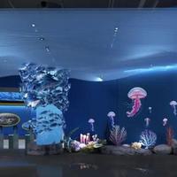 哈尔滨复刻地中海蓝白秘境 端午极光秀开启北国环球文旅新体验