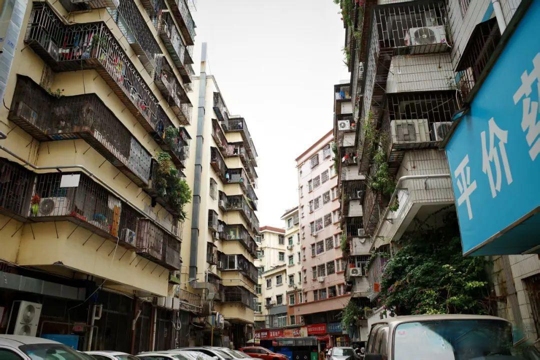 深圳烟火地图：藏在居民楼下的宝藏小店漫游指南