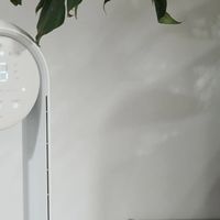 经典老牌无叶扇