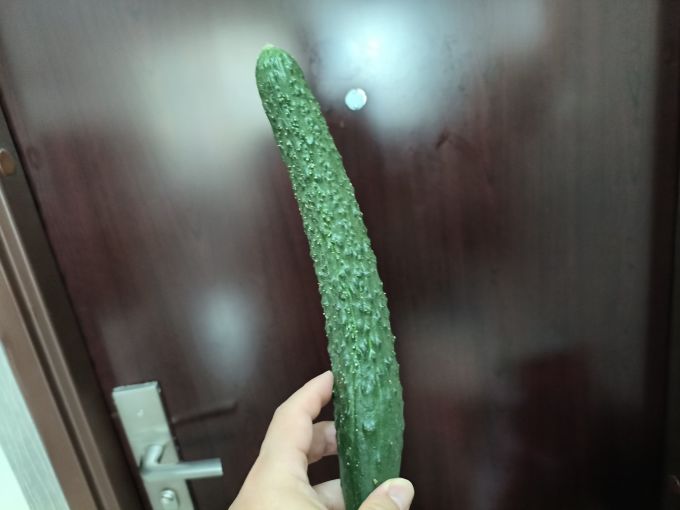 回香创叶蔬菜