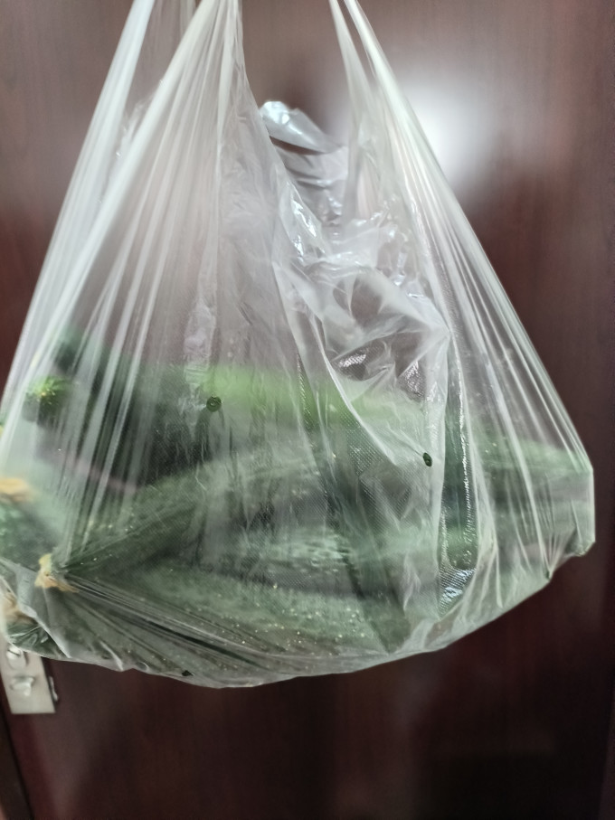 回香创叶蔬菜